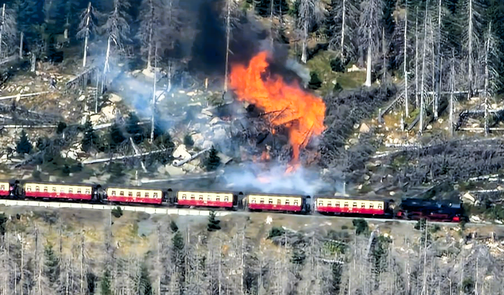 Waldbrand! Touristen auf dem Brocken gefangen! Rettungsaktion auf beliebtem Touristen-Ziel!